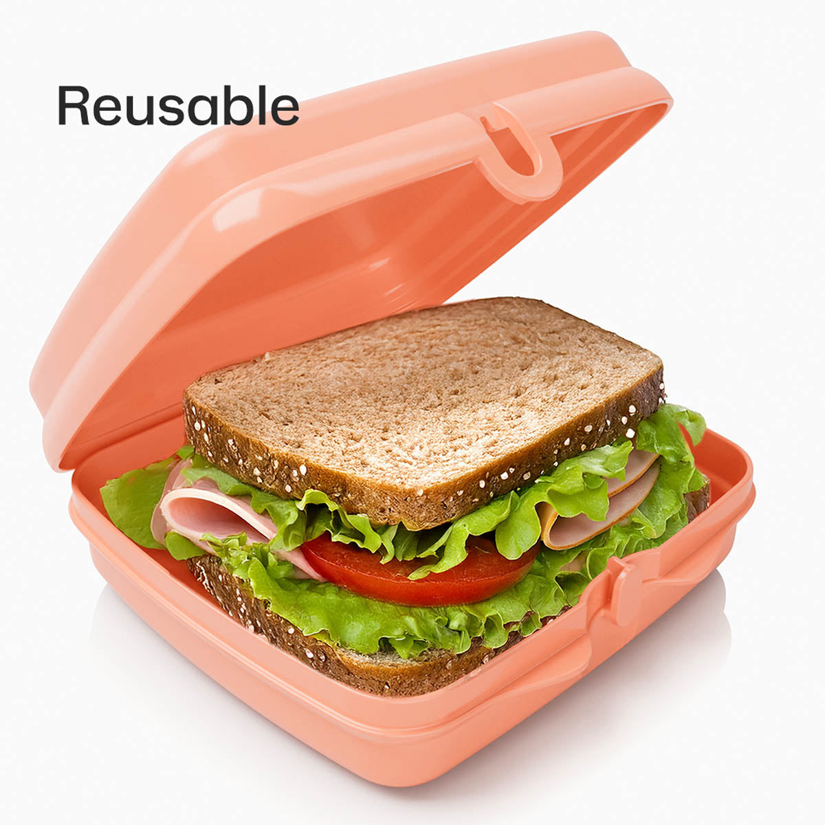 Sandwich Keepers 2 EasyOpen Lunch Boxes for Kids