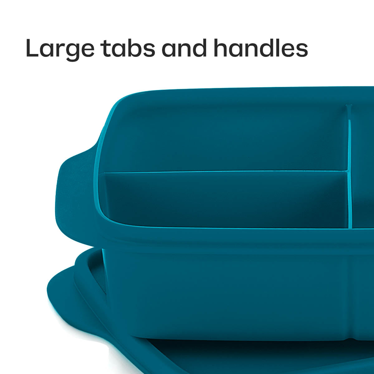 LunchItLarge Container