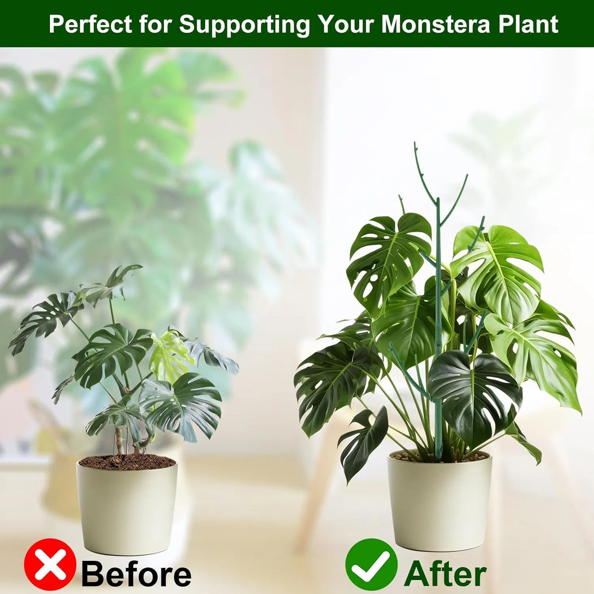 🔥Adjustable Plant Support Stakes – Easy Climbing Support for Indoor & Outdoor Plants
