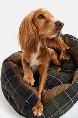 CLASSIC TARTAN