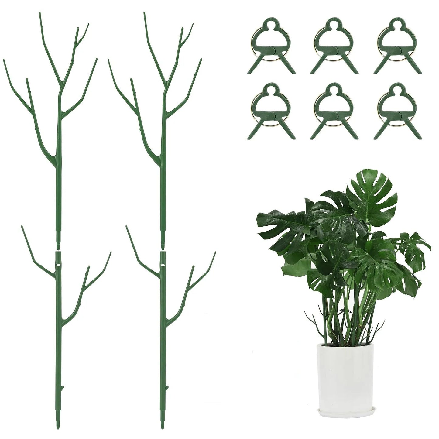 🔥Adjustable Plant Support Stakes – Easy Climbing Support for Indoor & Outdoor Plants