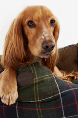 CLASSIC TARTAN