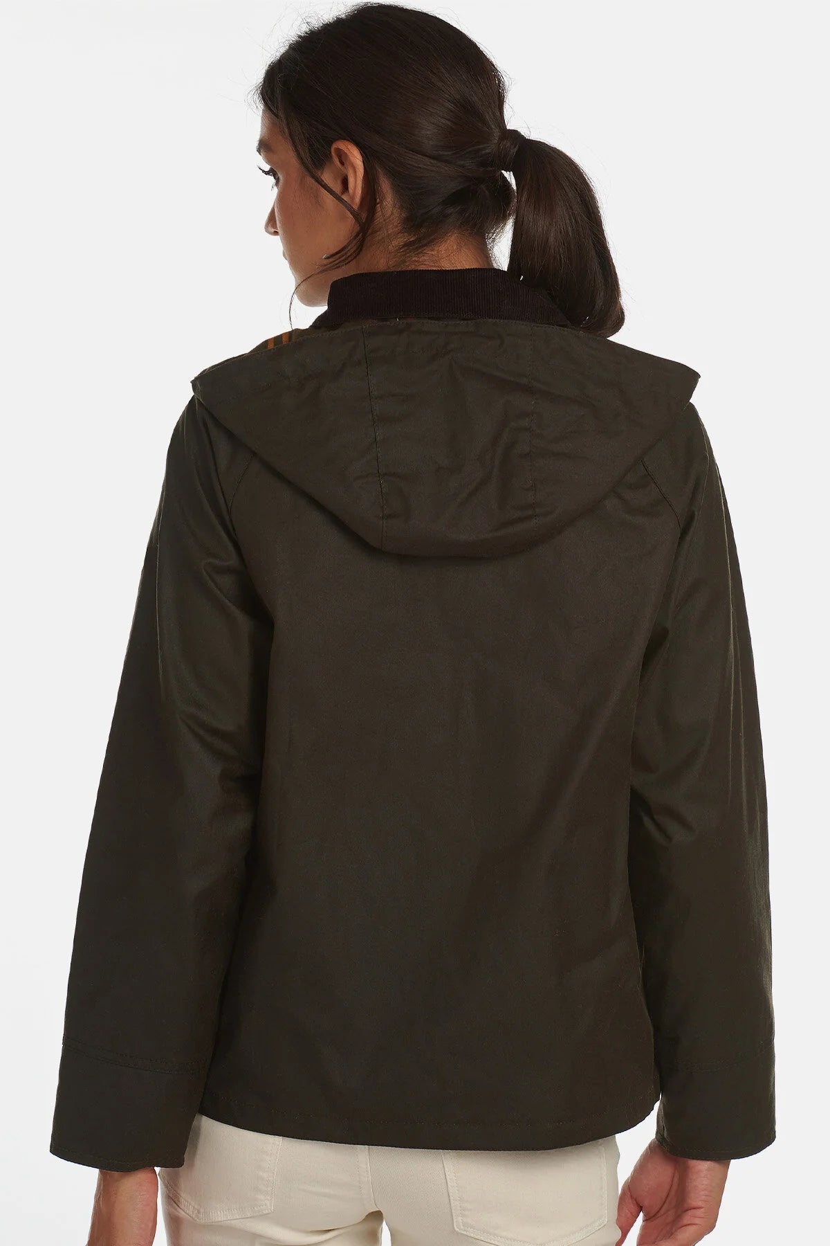 Waxed Jacket - OLIVE/CLASSIC
