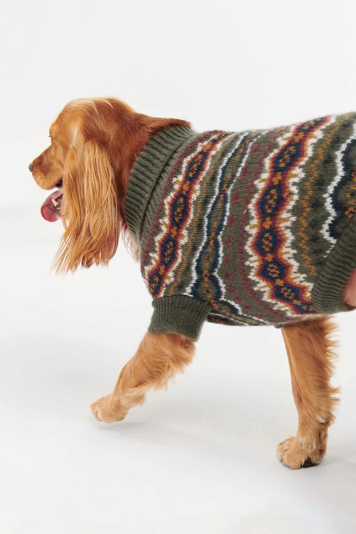 Case Fairisle Dog Jumper - OLIVE