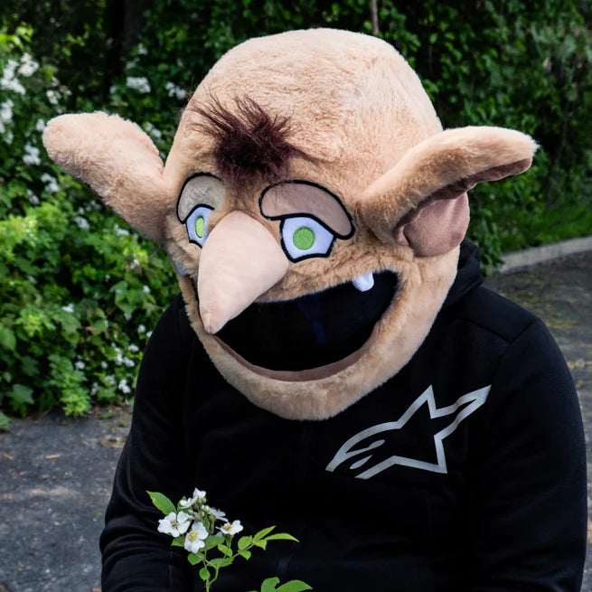 Motorcycle Helmet Cover - House Elf
