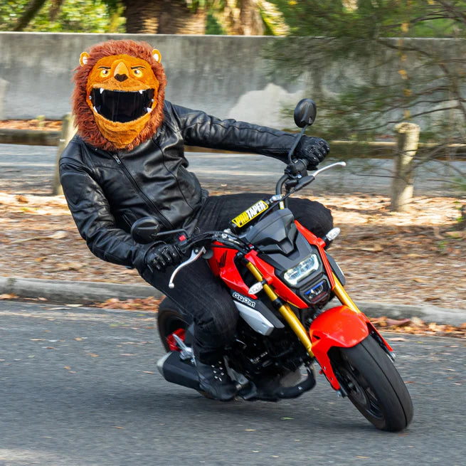 Motorcycle Helmet Cover - Lion