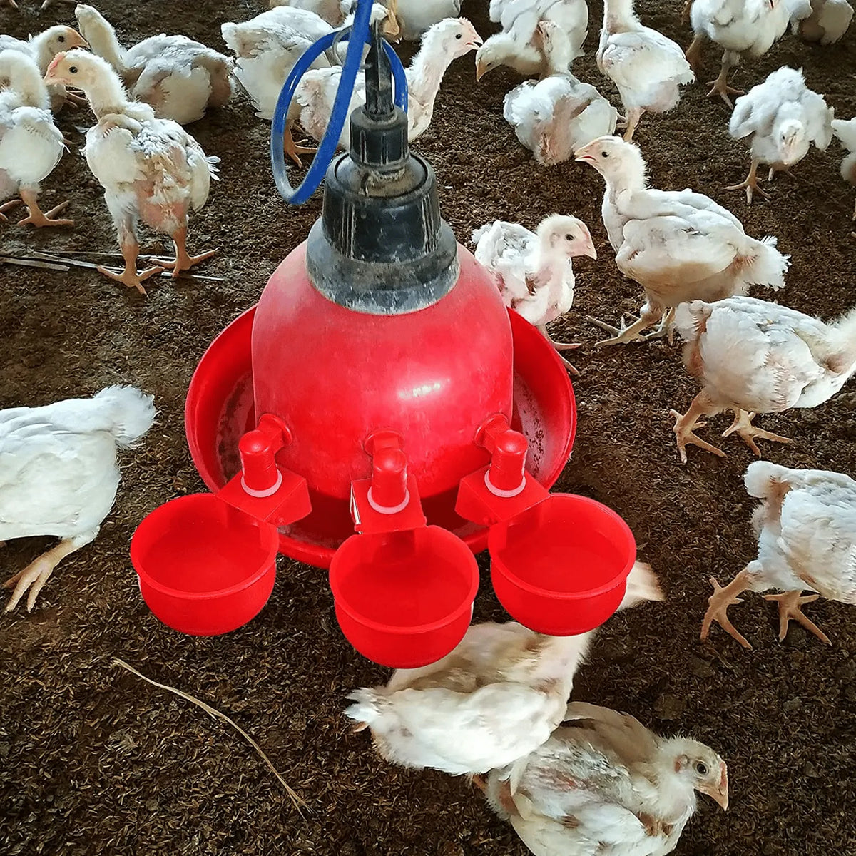 6PCS/SET Automatic Poultry Drinking Bowl