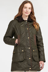 OLIVE/CLASSIC