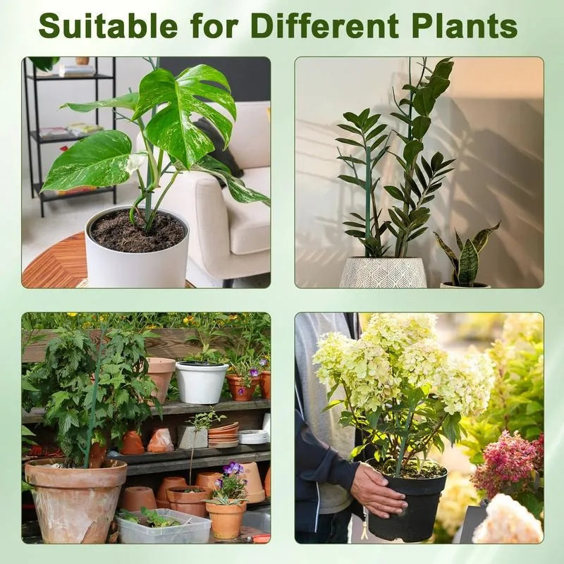 🔥Adjustable Plant Support Stakes – Easy Climbing Support for Indoor & Outdoor Plants