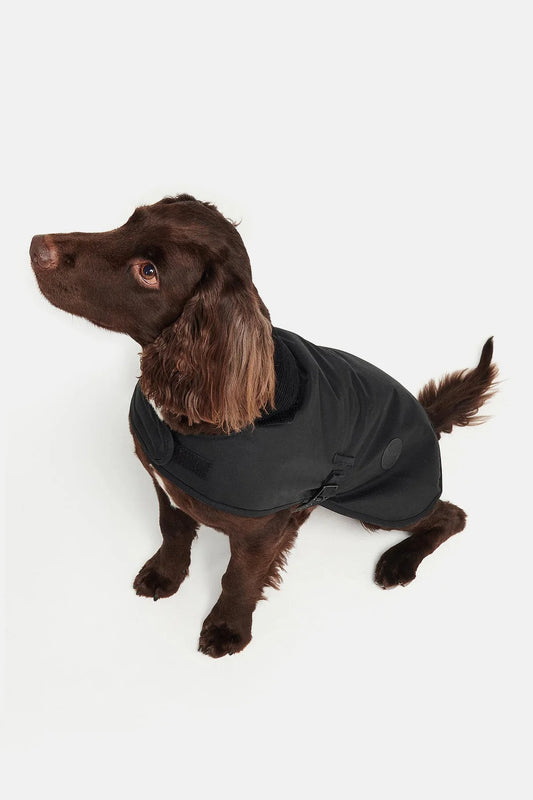 Wax dog coat - BLACK