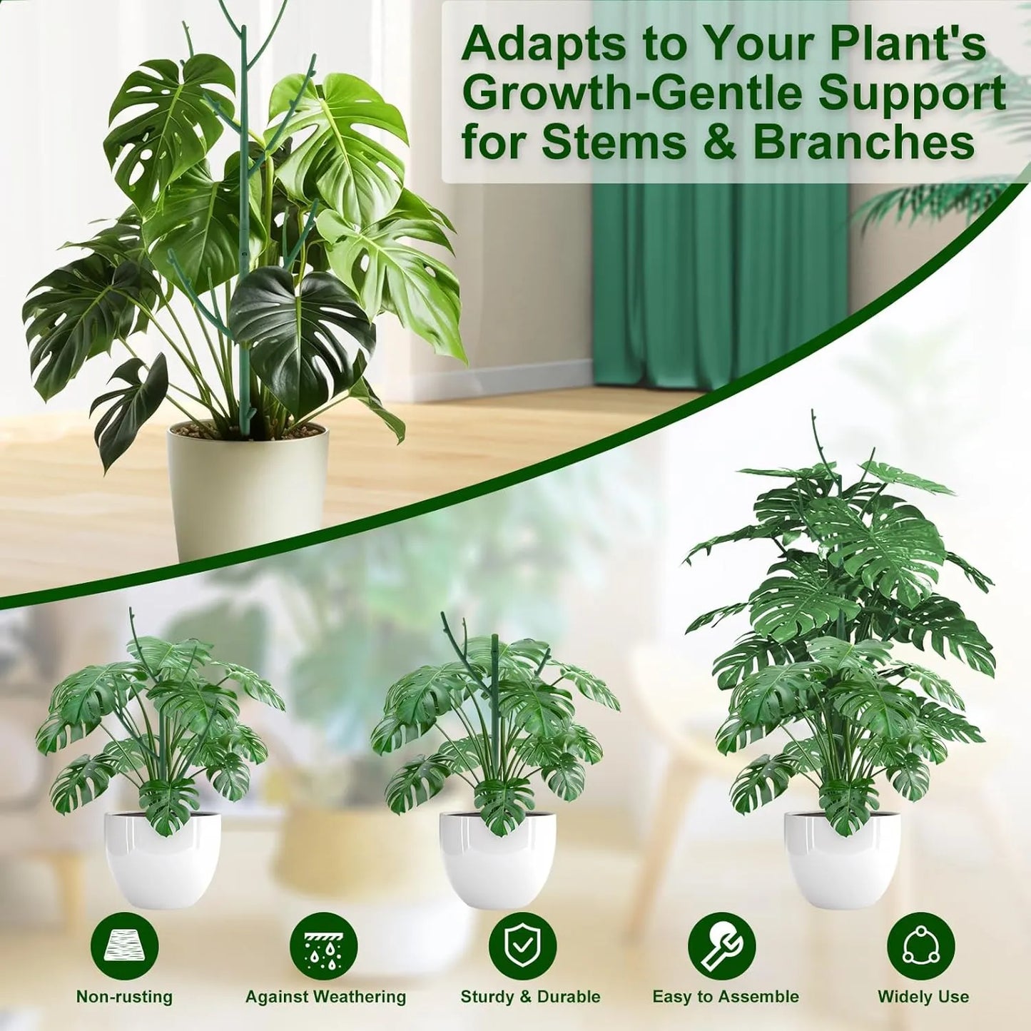 🔥Adjustable Plant Support Stakes – Easy Climbing Support for Indoor & Outdoor Plants