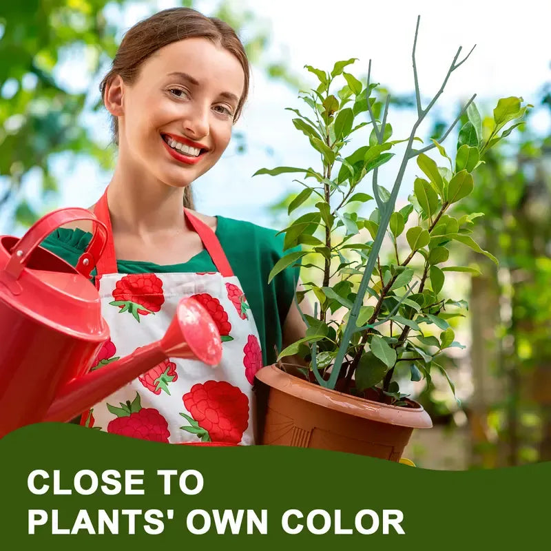 🔥Adjustable Plant Support Stakes – Easy Climbing Support for Indoor & Outdoor Plants