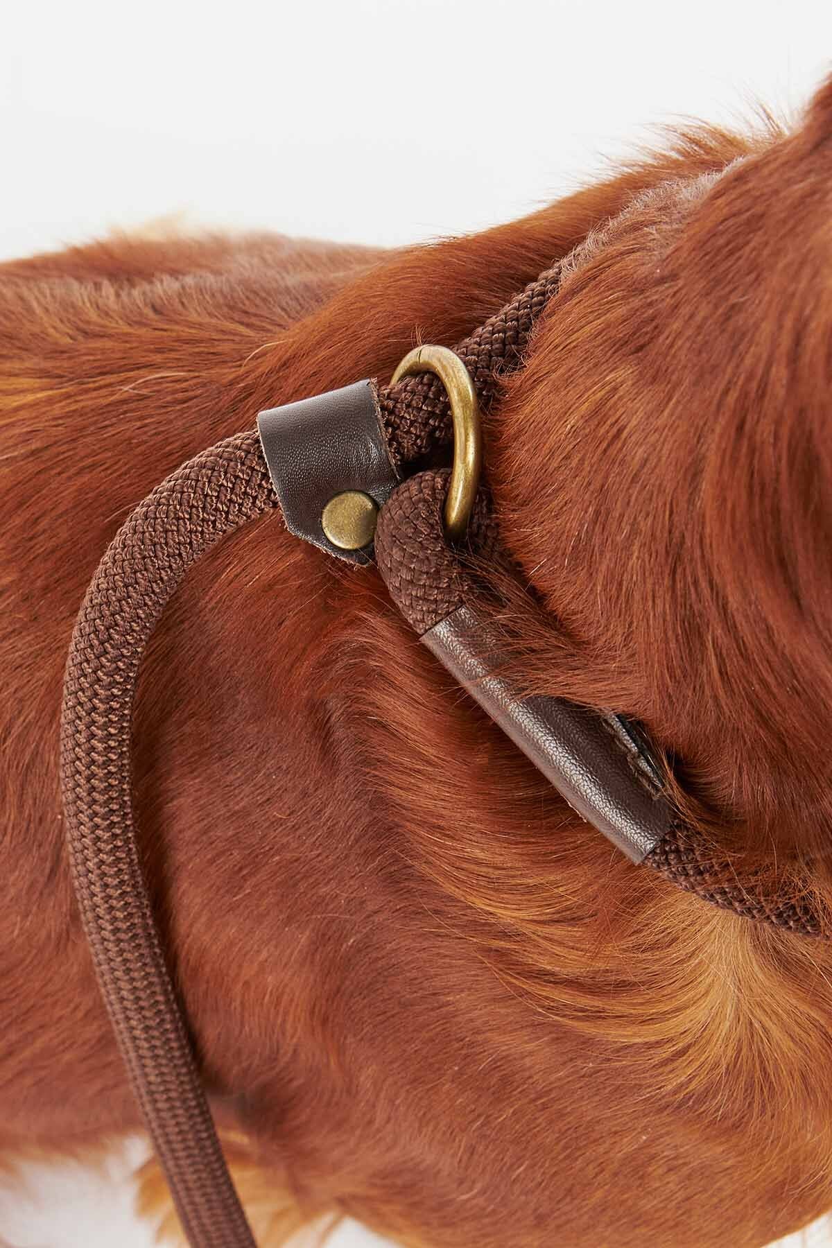 Tartan Leash - CLASSIC TARTAN