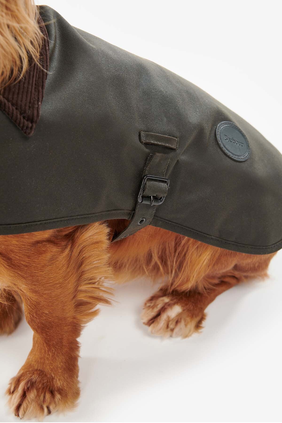 Wax dog coat - OLIVE
