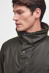 ARCHIVE OLIVE