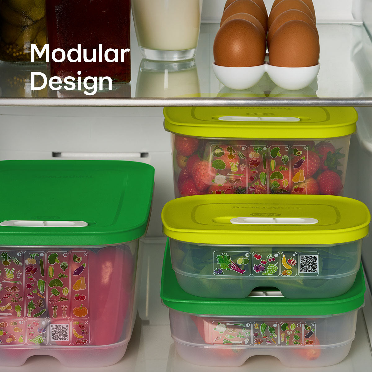FridgeSmartVertical