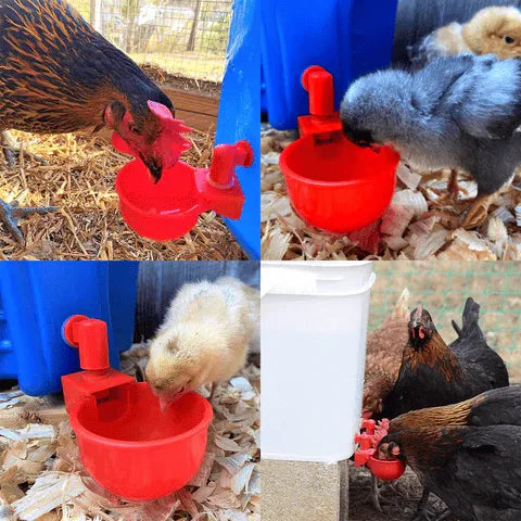 6PCS/SET Automatic Poultry Drinking Bowl