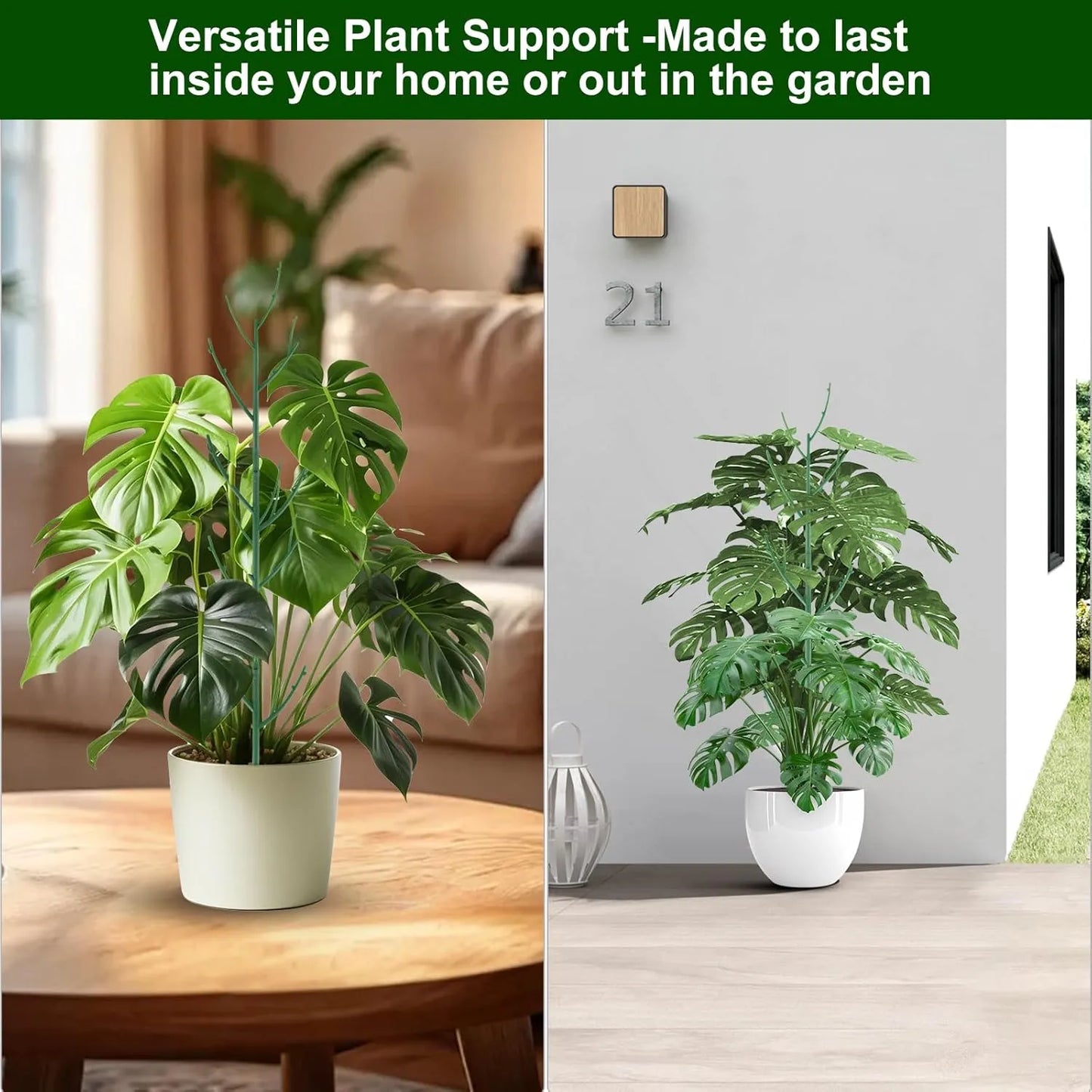 🔥Adjustable Plant Support Stakes – Easy Climbing Support for Indoor & Outdoor Plants