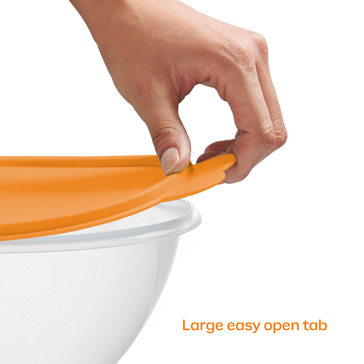 Classic WonderlierBowls | 5piece Set